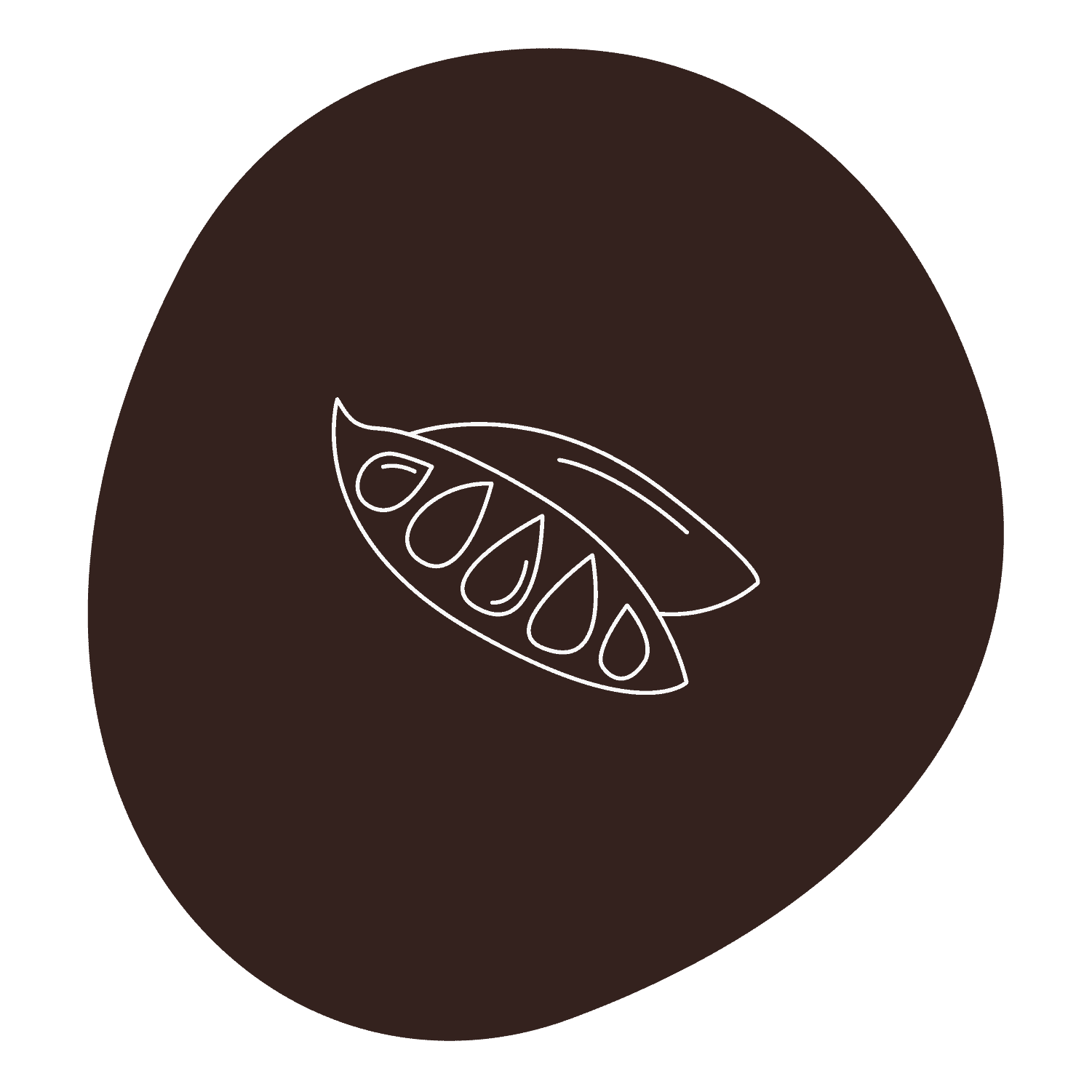 Organic Roasted Carob Powder (Light Roast)