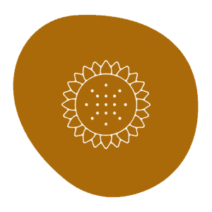 Glycerins Lecithins 01 sunflower