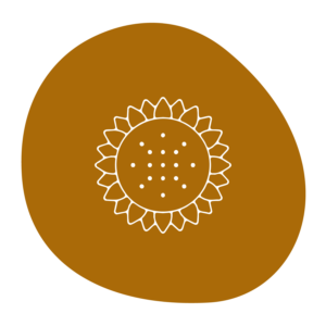 Non-GMO Sunflower Lecithin Powder