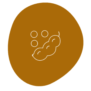 Glycerins Lecithins 04 soy