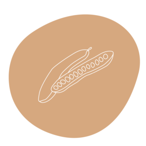 Organic Locust Bean Gum - Pure White