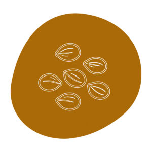 Hemp_Heart_Protein