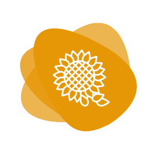 Icon for Sunflower Lecithin