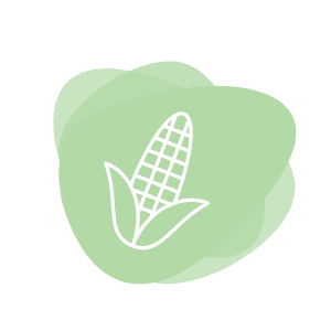 Icon for Maltodextrin, Corn and Waxy