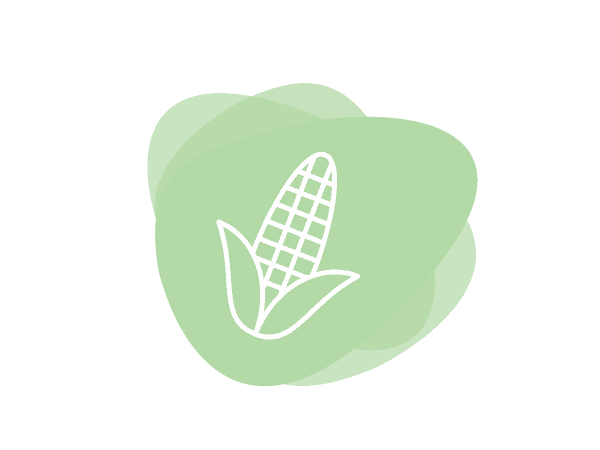 Icon for Maltodextrin, Corn and Waxy