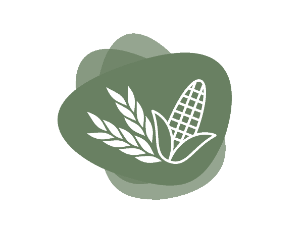 Icon for Maltodextrin, Corn and Wheat