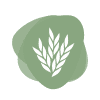 Icon for Maltodextrin, Wheat