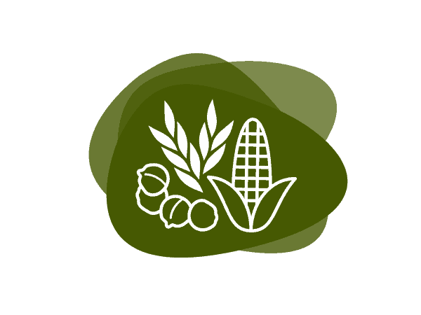 Icon for Proteins, Vital Grain Blends