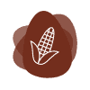 Icon for Starches, Functional Corn and Waxy Corn