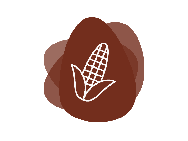 Icon for Starches, Functional Corn and Waxy Corn