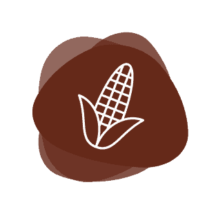 Icon for Starches, Native Corn and Waxy Corn