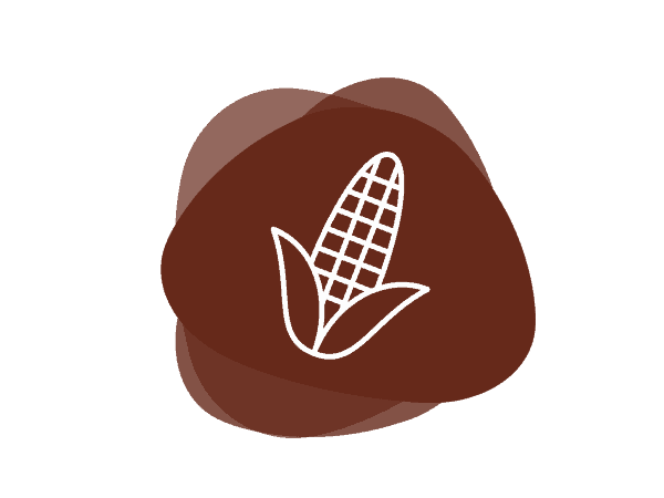 Icon for Starches, Native Corn and Waxy Corn