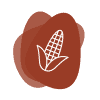 Icon for Starches, Pregel Corn and Waxy Corn