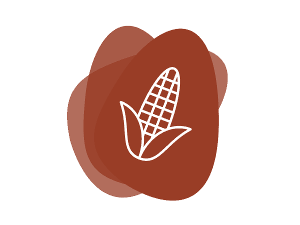 Icon for Starches, Pregel Corn and Waxy Corn