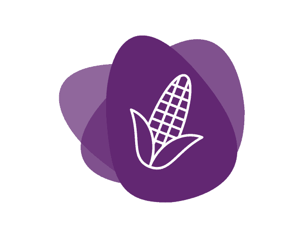 Icon for Sweeteners, Glucose Syrup - Corn