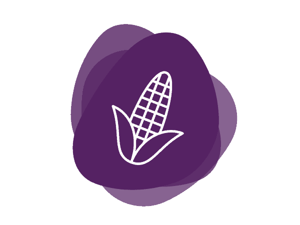 Icon for Sweeteners, Glucose Syrup Solids - Corn
