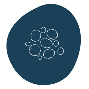 Organic Coarse Potato Flakes