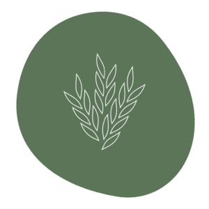 Maltodextrins 02 corn