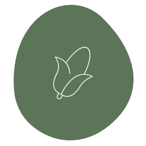 Maltodextrins 03 corn