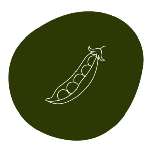 Organic Yellow Pea Protein