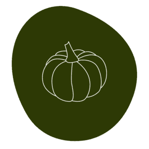 Organic Pumpkin Seed Protein
