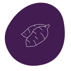 Sweetener 16 tapioca